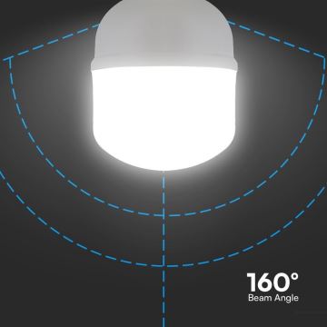 LED-Glühlampe T100 E27/30W/230V 6500K