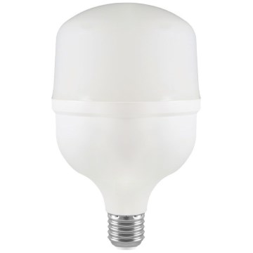 LED-Glühlampe T80 E27/20W/230V 6500K
