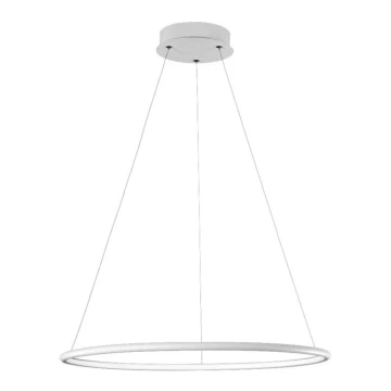 LED Hängeleuchte ORION LED/22/230V