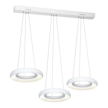 LED Hängeleuchte RONDO 3xLED/12W/230V