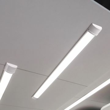LED-Küchenunterbauleuchte LED/36W/230V 4000K 120 cm weiß
