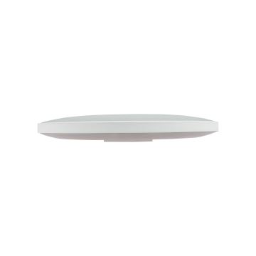 LED-Outdoor-Deckenleuchte NYMPHEA LED/32W/230V IP54 4000K