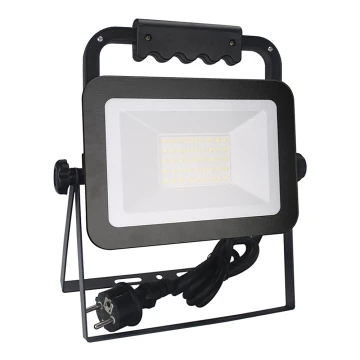 LED Reflektor LED/30W/230V IP44