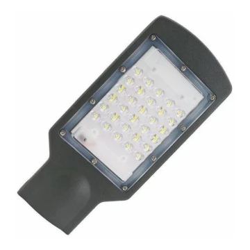 LED-Straßenleuchte LED/30W/170-400V IP67