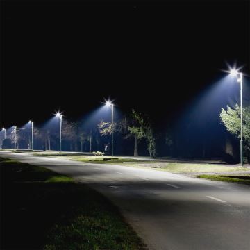 LED-Straßenleuchte SAMSUNG CHIP LED/30W/230V 4000K grau