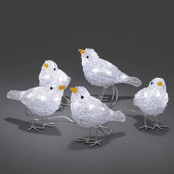 LED-Weihnachtsdeko für den Außenbereich BIRDS 5xLED/230V/24V IP44