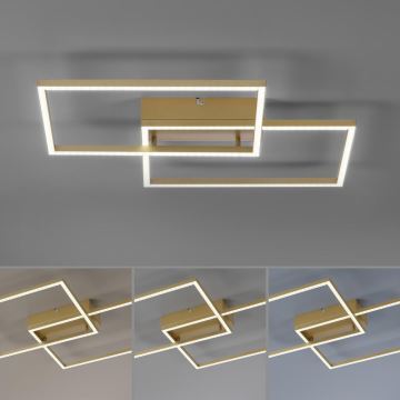 Leuchten Direkt 14018-60 – Dimmbare LED-Aufbauleuchte IVEN 2xLED/15W/230V 2700-5000K golden + Fernbedienung