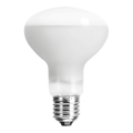 Nobleza - UVA-Glühlampe für Terrarien E27/25W/230V IP54