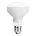 Nobleza - UVA-Glühlampe für Terrarien E27/50W/230V IP54