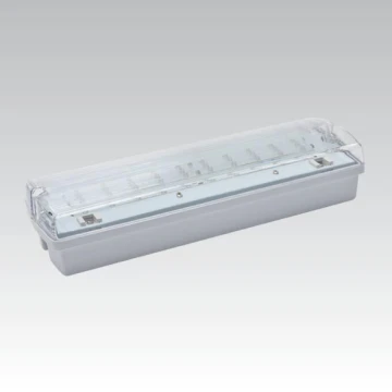 Notleuchte CARLA LED LED/5,51W/230V temporär 1h IP65