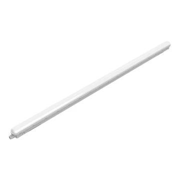 Philips - LED-Hochleistungsleuchte PROJECTLINE LED/53W/230V 148,5 cm IP65