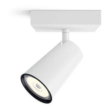 Philips - LED Spotlight 1xGU10/5,5W/230V