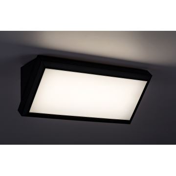 Rabalux - LED-Wandleuchte für den Außenbereich LED/12W/230V IP54