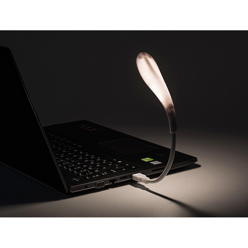 Rabalux - Kleine flexible LED-Leuchte mit USB LED/2W/5V