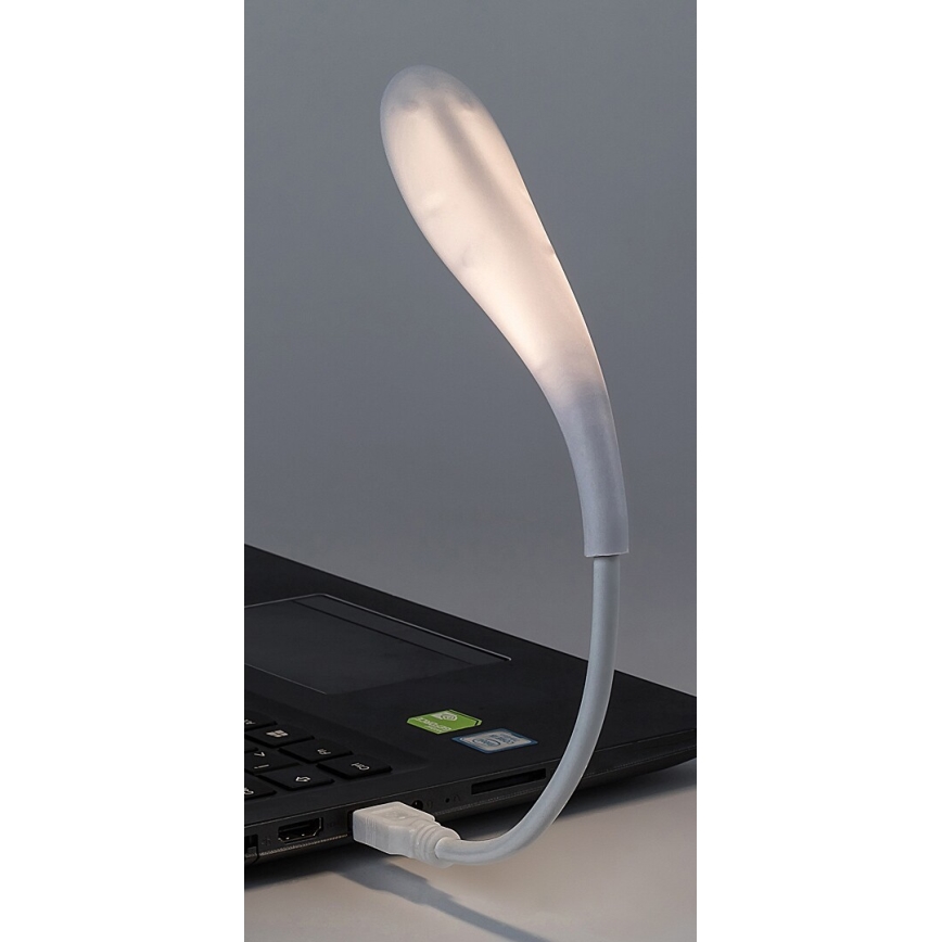 Rabalux - Kleine flexible LED-Leuchte mit USB LED/2W/5V