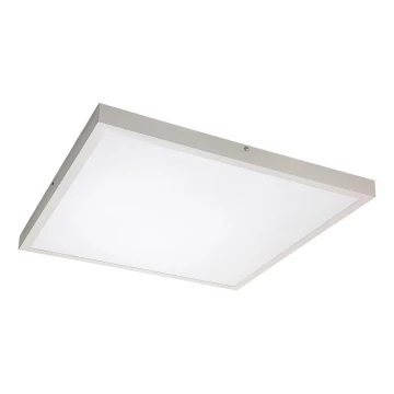 Rabalux - LED-Aufbaupanel LED/40W/230V 4000K 60x60 cm