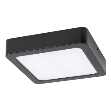 Rabalux - LED-Deckenleuchte LED/15W/230V 4000K 16x16 cm schwarz