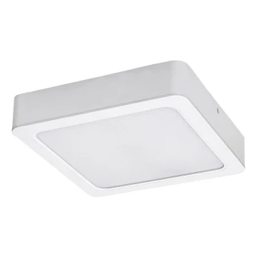 Rabalux - LED-Deckenleuchte LED/15W/230V 4000K 16x16 cm weiß