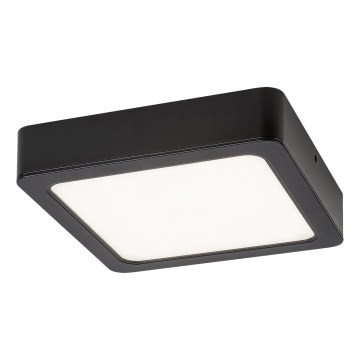 Rabalux - LED-Deckenleuchte LED/24W/230V 3000K 22x22 cm schwarz