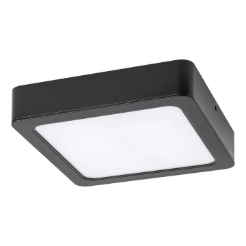 Rabalux - LED-Deckenleuchte LED/24W/230V 4000K 22x22 cm schwarz