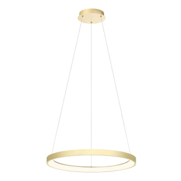 Redo 01-2673 - Dimmbare LED-Hängeleuchte an Schnur ICONIC LED/50W/230V d 58 cm golden