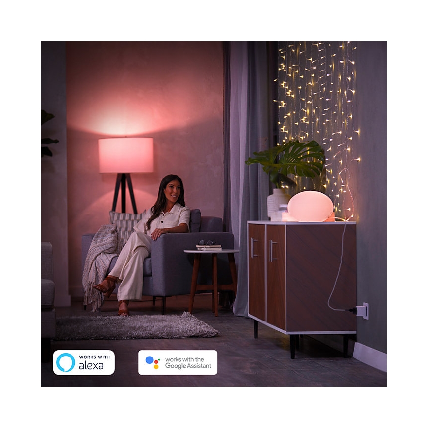 SET 2x Intelligente Steckdose Philips Hue Smart-Stecker