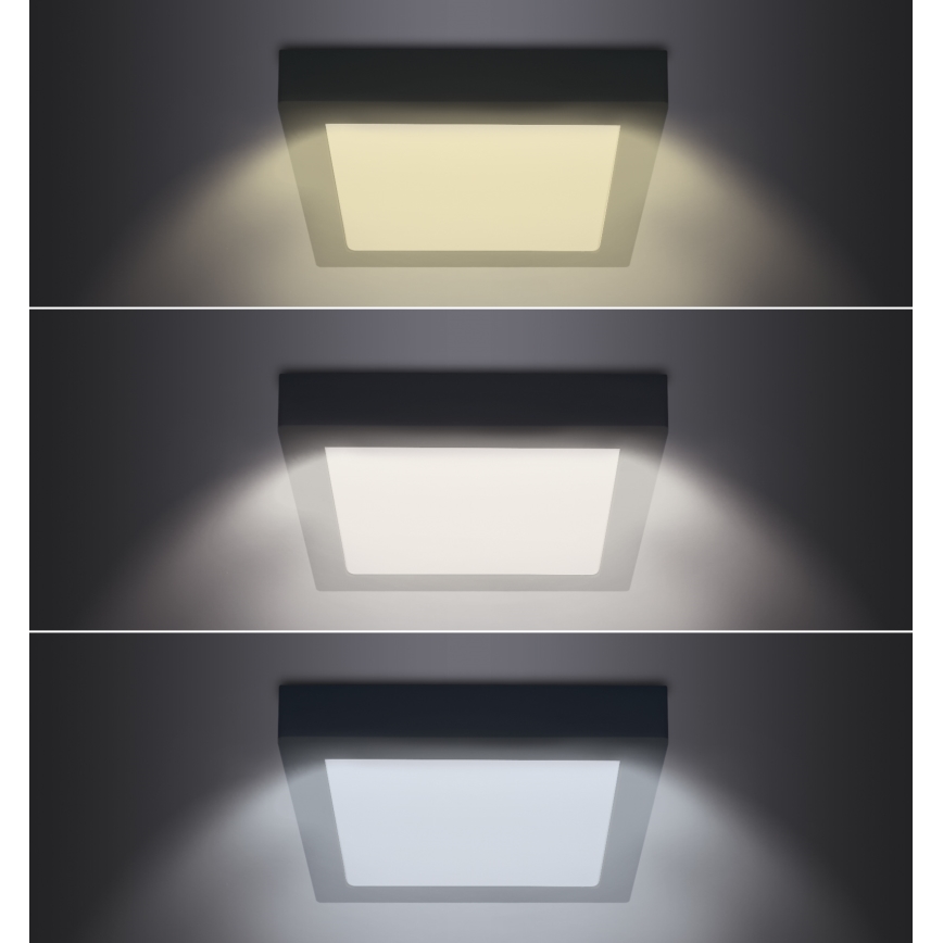LED-Deckenleuchte LED/12W/230V 3000/4000/6000K schwarz eckig