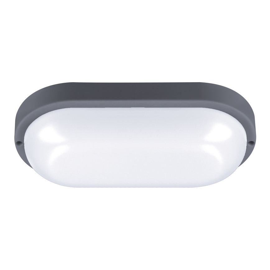 LED-Wandleuchte für den Außenbereich LED/20W/230V 4000K IP54 grau oval