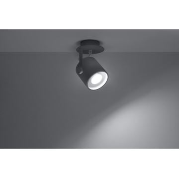 Spotlight LAROSA 1 1xGU10/40W/230V grau