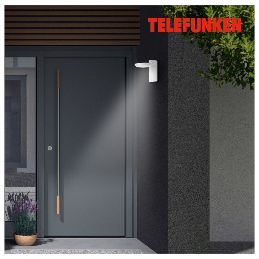 Telefunken 312406TF - LED-Wandleuchte für den Außenbereich LED/10W/230V IP44