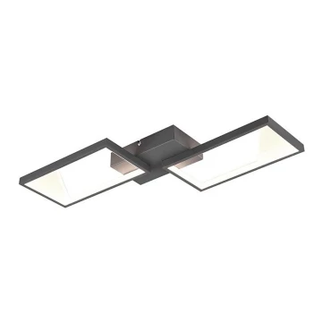 Trio - LED dimmbarer Aufsatzkronleuchter CAFU 2xLED/7W/230V