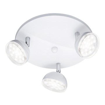 Trio - LED Spotlight BOLOU 3xLED/3,8W/230V